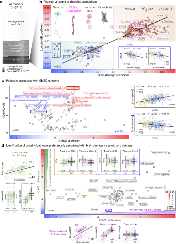 Fig. 7: Proteins and biological processes associated with the development of physical disability.