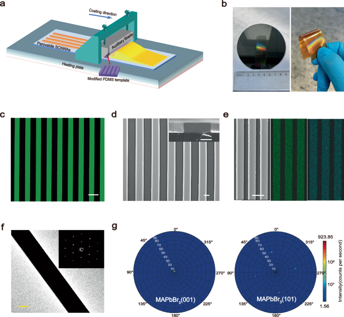 Fig. 1: MAPbX3 SCNWAs preparation mechanism demonstration and related characterization.