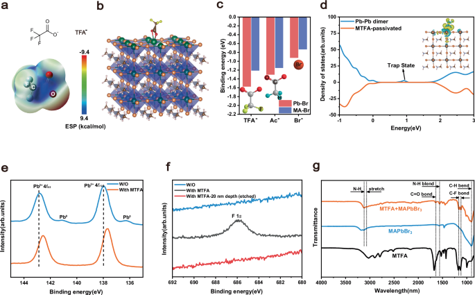 Fig. 2: Mechanism and Characterization of MTFA Passivation on MAPbBr3 Single Crystal Nanowire Arrays.