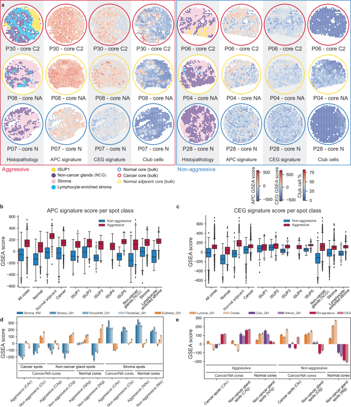 Fig. 2: APC and CEG signature activity in prostate tissue.