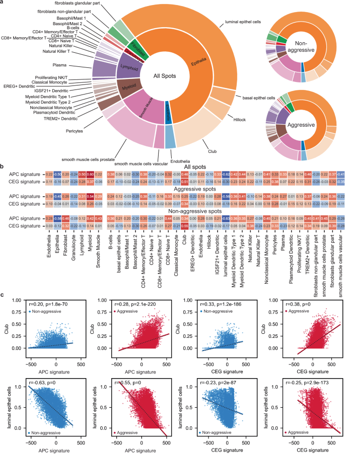 Fig. 3: Cell-type composition of each ST spot and correlation with APC and CEG signatures.