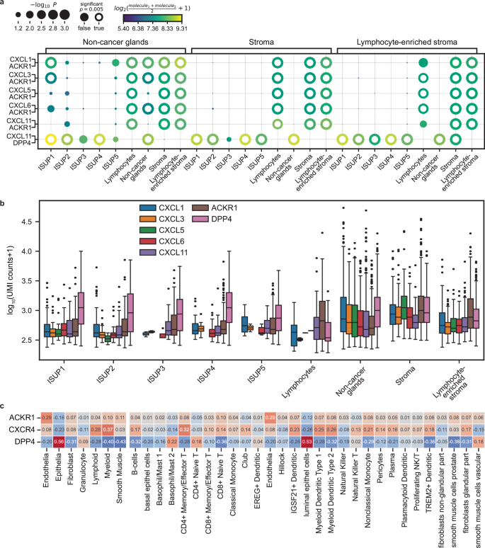 Fig. 4: Chemokine receptor-ligand interaction in tissue from patients with aggressive PCa.