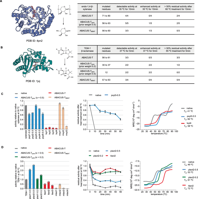Fig. 4: Redesigning xylanase and TEM β-lactamase.