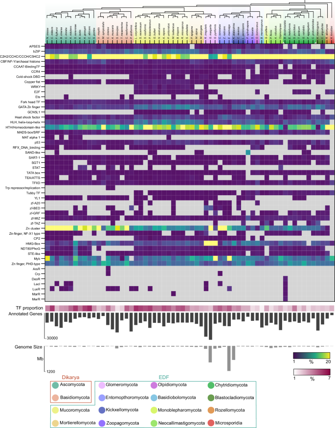 Fig. 1: The fungal TF landscape.