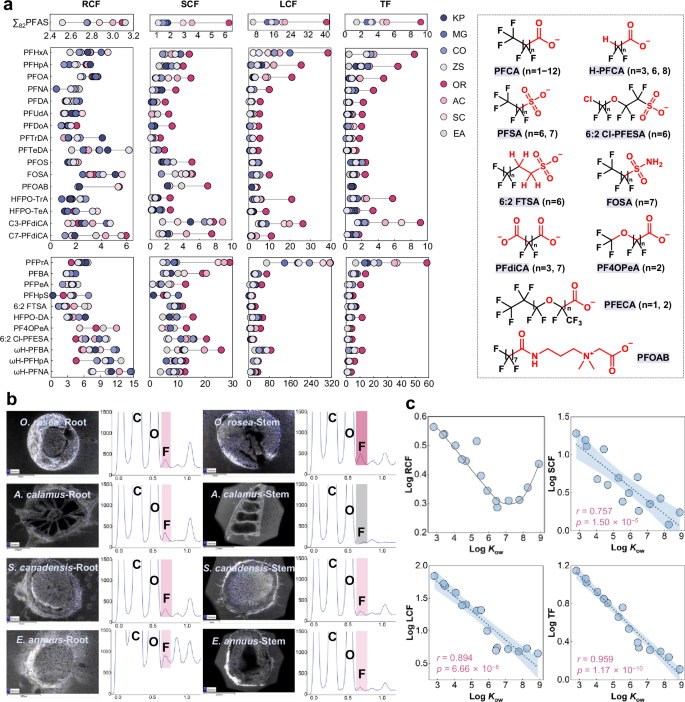 Fig. 2: Assessment of bioaccumulation factors of PFAS in plants.