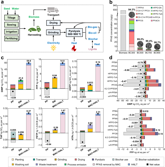 Fig. 6: Utilization of hyperaccumulator O. rosea biomass and life cycle assessment of phytoremediation.