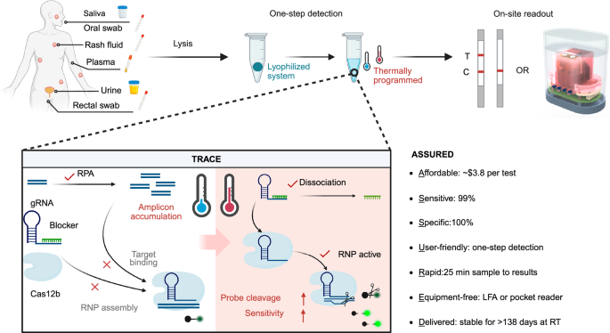 Fig. 1: TRACE assay design.