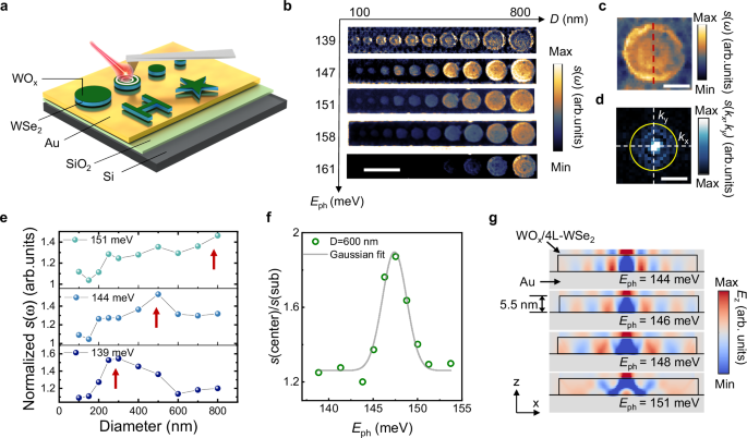 Fig. 4: Intersubband polariton confined in WOx/4L-WSe2/Au nanoresonators.
