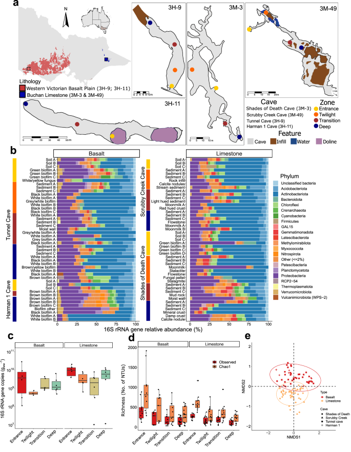 Fig. 1: Cave microbial community composition and diversity patterns.