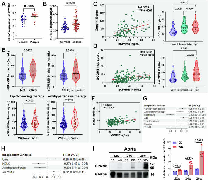Fig. 1: The high expression of GPNMB correlated with atherosclerosis progression.