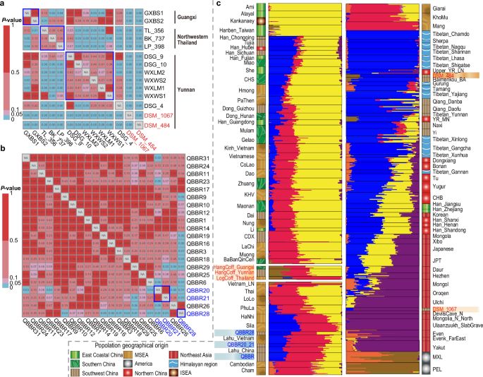 Fig. 2: Population structure of Hanging Coffin and Bo individuals.