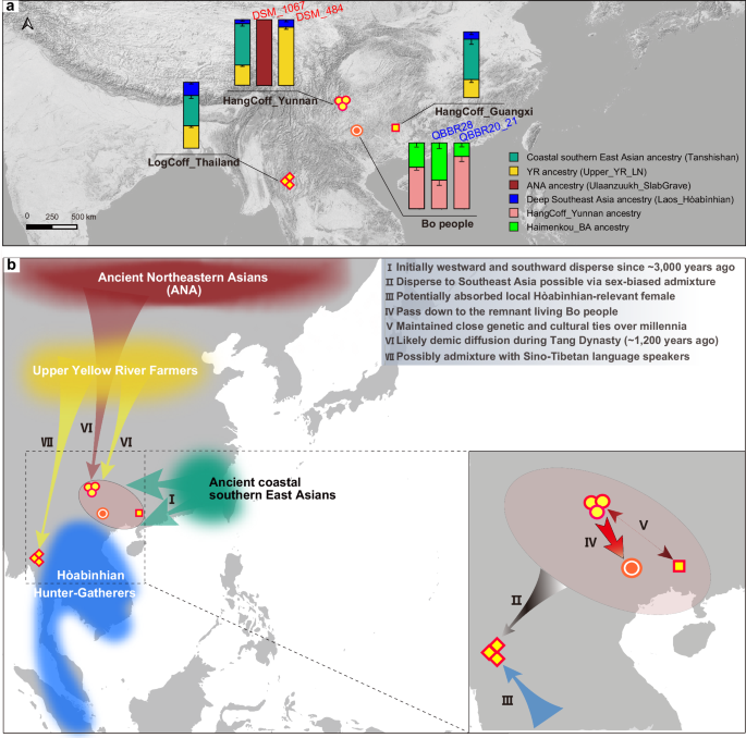 Fig. 3: Ancestry composition and inferred dispersal scenarios of Hanging Coffin populations and Bo individuals.