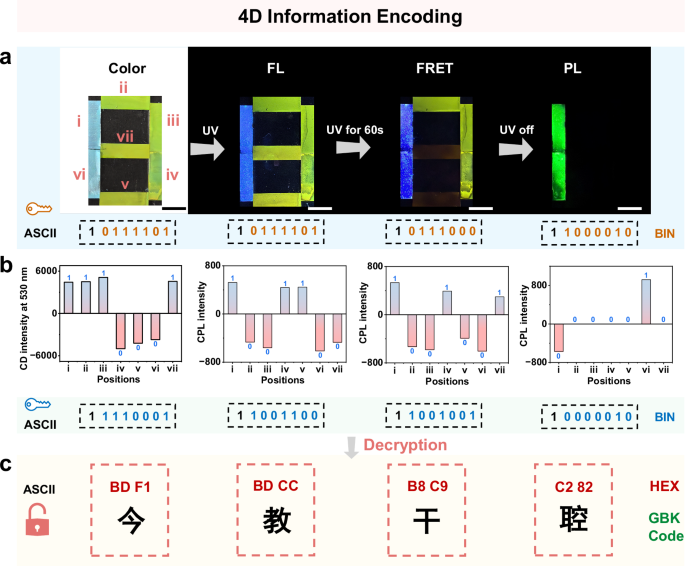 Fig. 6: Design and concept of 4D information encryption and decryption.