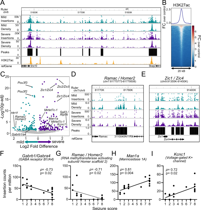 Fig. 3: Enhancer usage near hundreds of genes associates with seizure severity.