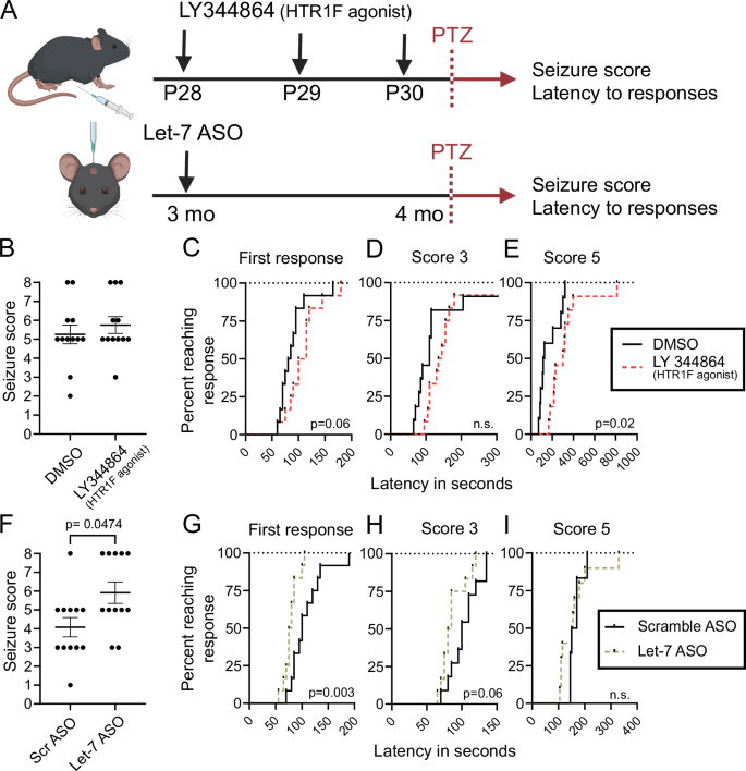 Fig. 5: Pharmacological manipulation of seizure associated genes influences seizure responses.