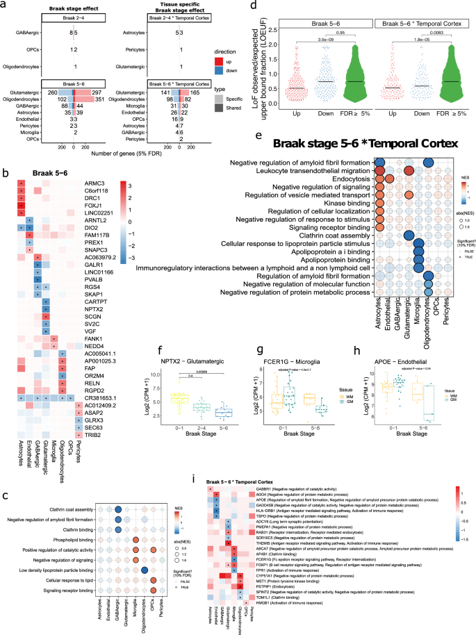 Fig. 3: Differential expression analysis at cell type level.