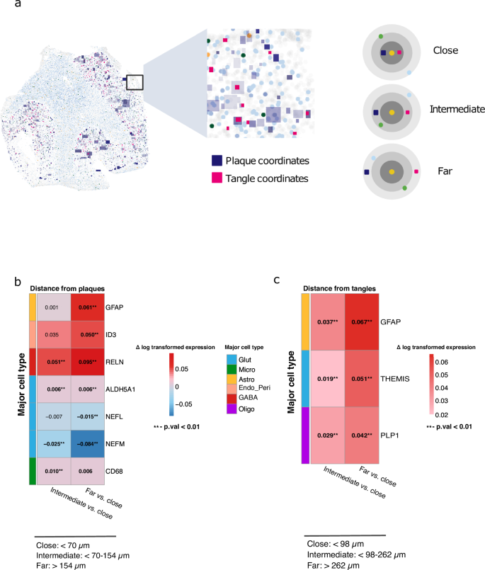Fig. 5: Gene expression in tissue niches of plaques and tangles.