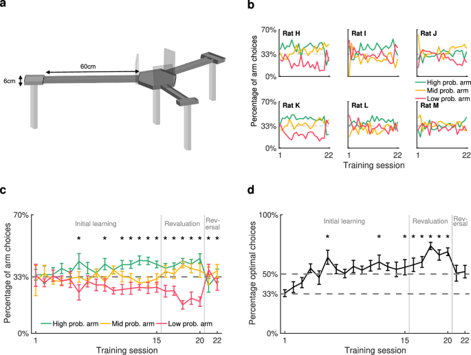 Fig. 1: Behavioural performance on the task.