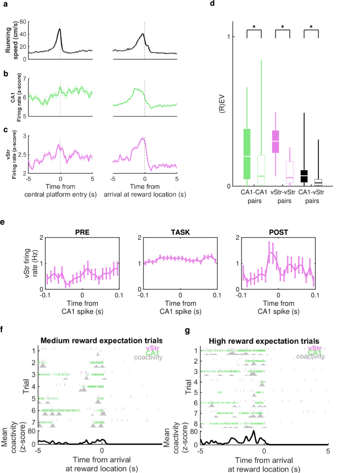 Fig. 7: Electrophysiological data from CA1 and ventral striatum (vStr).