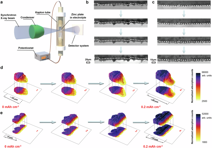 Fig. 5: The operando synchrotron projection X-ray microscopy (PXM) characterization on Zn deposition.