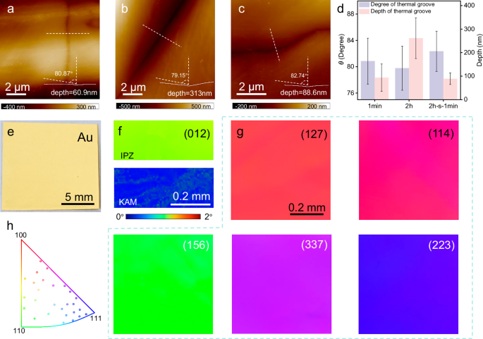 Fig. 4: Growth of single-crystal Au foils with high-index facets enabled by the dislocation-driving strategy.