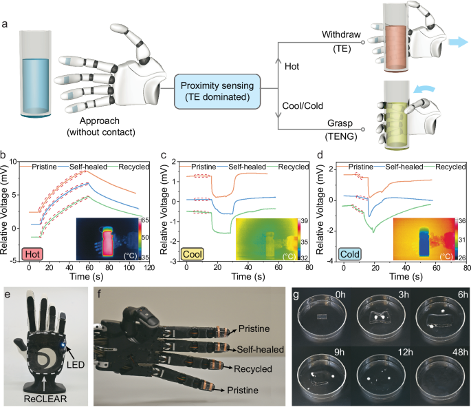 Fig. 5: Multifunctional robotic skins with transparent, self-healable, and recyclable ReCLEAR devices for thermal and tactile sensing.