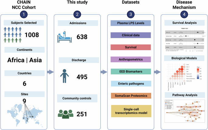 Fig. 1: CHAIN LPS study workflow.