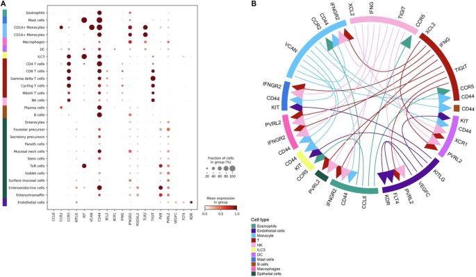 Fig. 6: Differentially abundant proteins in LPShi Fatal cohort indicate a cross-talk between immune and intestinal cell types.