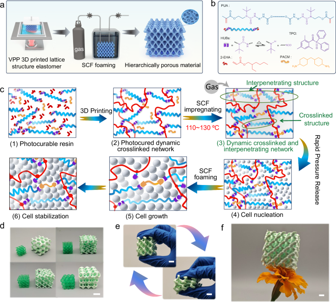 Fig. 1: Fabrication of hierarchically porous foams by supercritical fluid foaming (SCF) of vat photopolymerization (VPP) 3D-printed polyurethane elastomers.