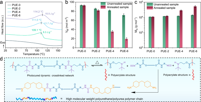 Fig. 3: Thermal annealing of polyurethane elastomers leads to the formation of a dynamically crosslinked-interpenetrating network.