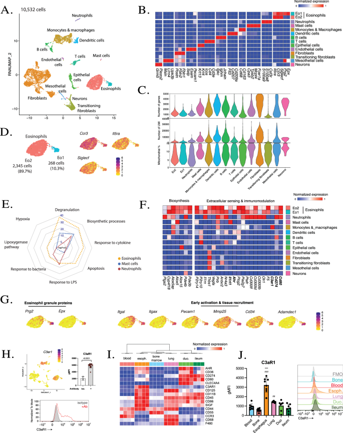Fig. 1: scRNA-seq of esophageal eosinophils.