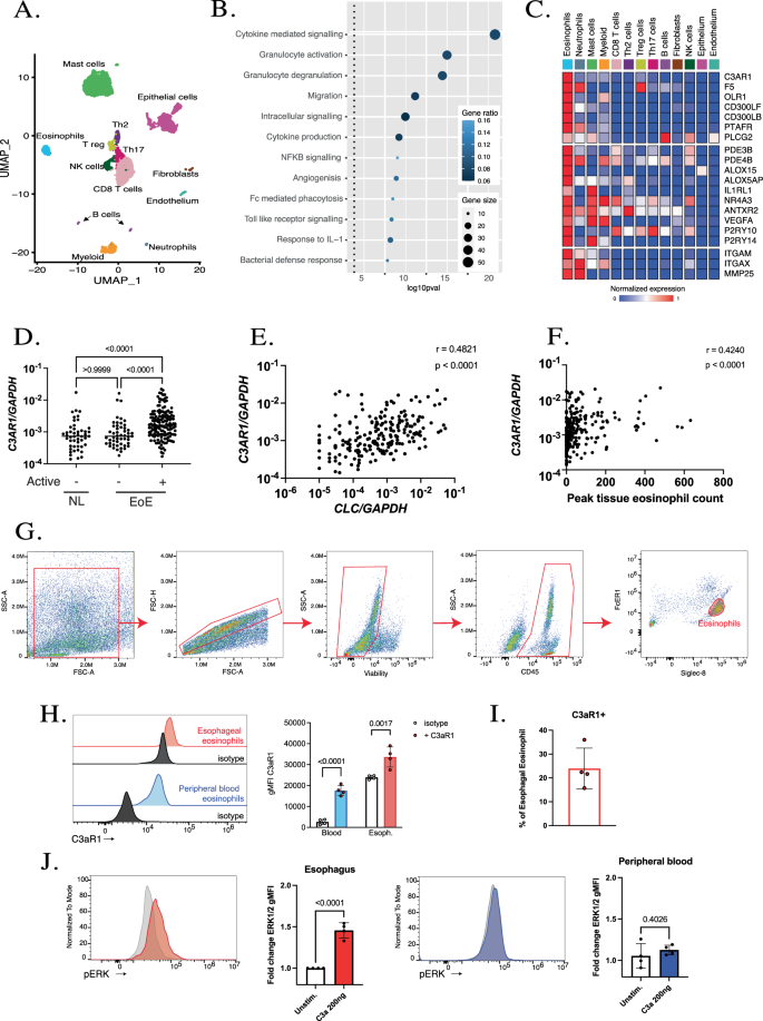 Fig. 6: Translational relevance of the esophageal eosinophil epitranscriptome.