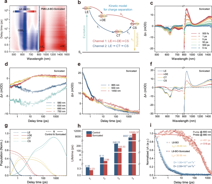 Fig. 3: Global fitting analysis of exciton and charge dynamics.