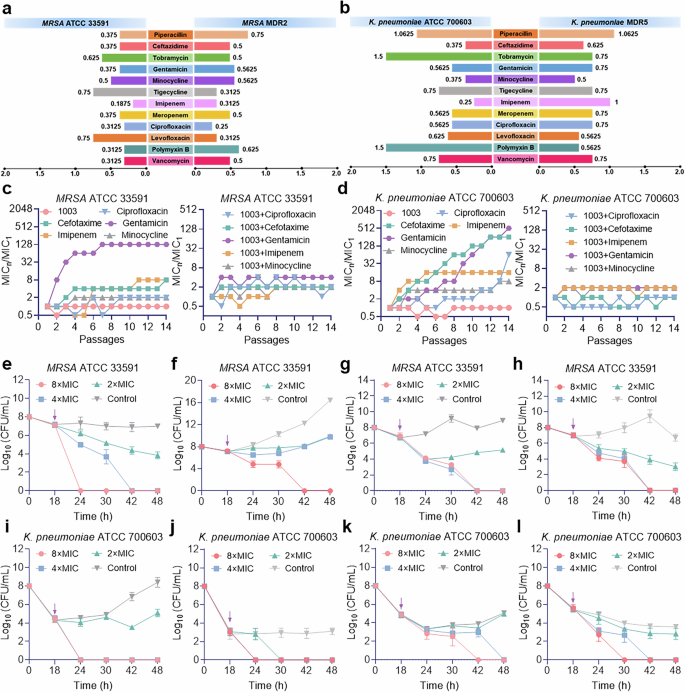 Fig. 3: AMP 1003 alleviates antimicrobial resistance.