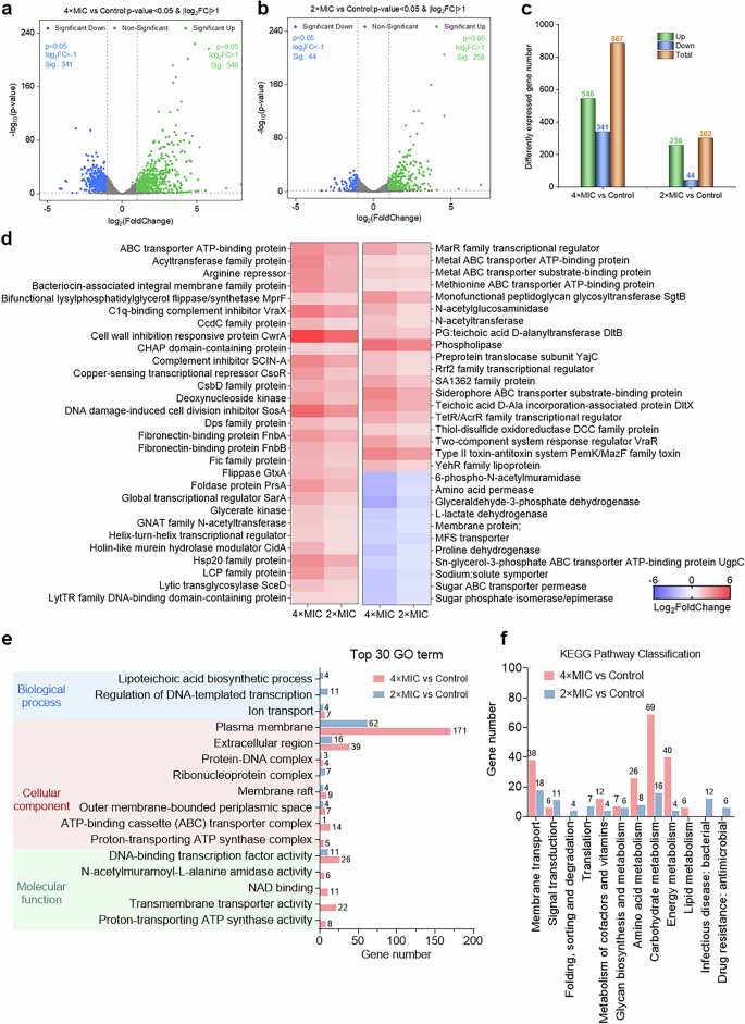 Fig. 6: Transcriptome analysis of MRSA ATCC 33591 under the treatment of AMP 1003.