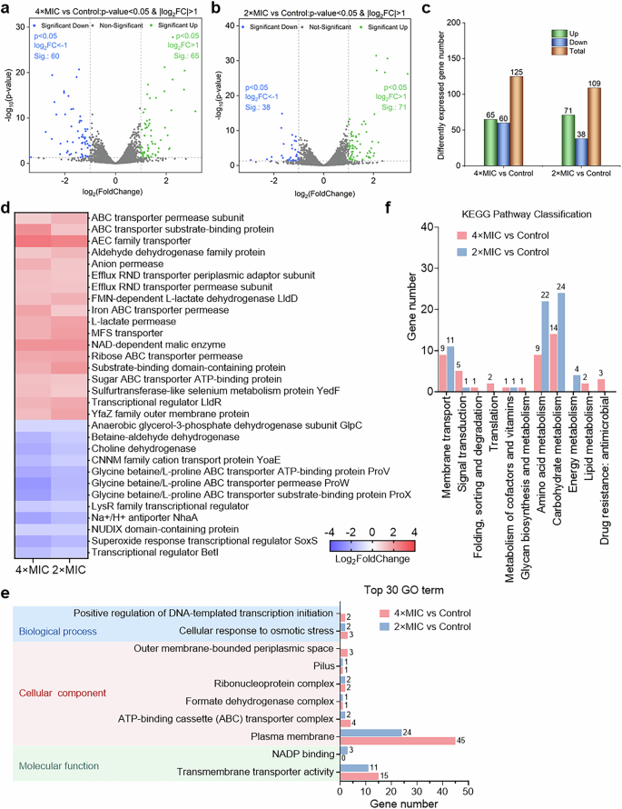 Fig. 7: Transcriptome analysis of K. pneumoniae ATCC 700603 under the treatment of AMP 1003.