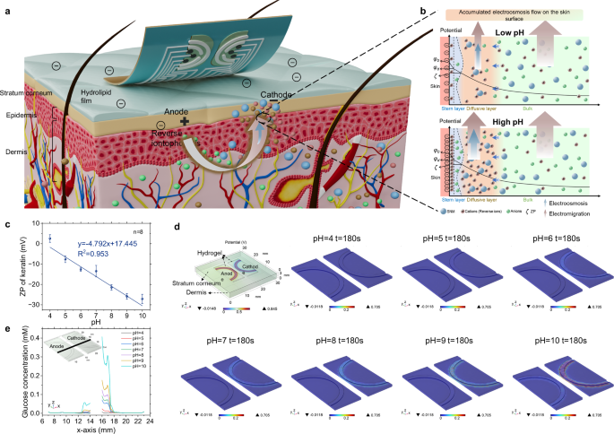 Fig. 1: Schematic of the skin surface pH-influenced ISF extraction based on RI for accurate and non-invasive biomarkers analysis.