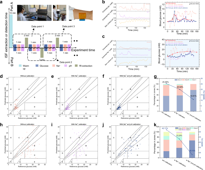 Fig. 5: In-vivo evaluation of the calibration method and wearable device.