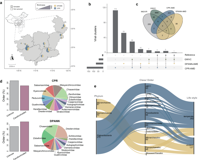 Fig. 1: The diversity and composition of largely unknown DPAAN and CPR viruses.