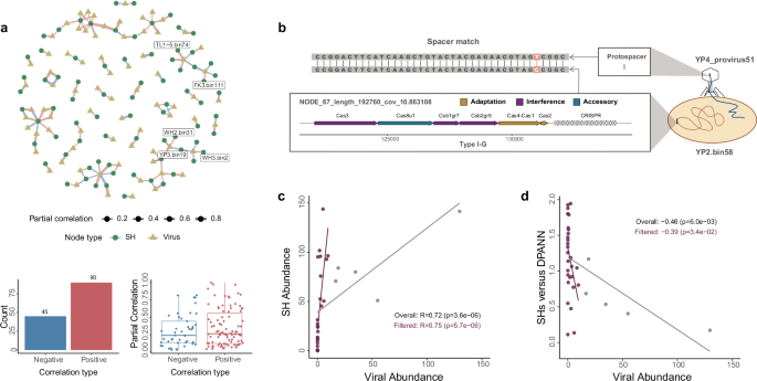 Fig. 5: Network analysis of virus-symbiont interaction.