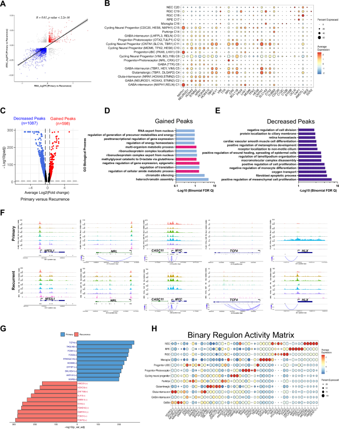 Fig. 2: Altered chromatin accessibility in recurrent tumors modulates network programming.