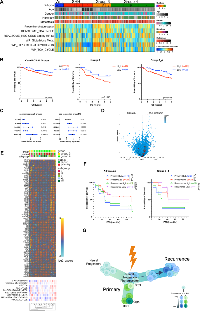 Fig. 4: Progenitor-photoreceptor gene signature aligns with Group 3 type tumors and relapsed metastatic lesions.