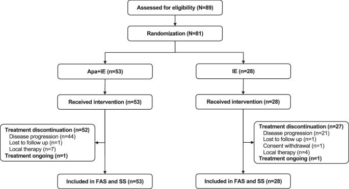 Fig. 1: Patient flowchart.