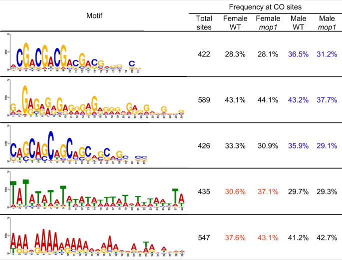 Fig. 2: Frequencies of G/C-associated motifs decrease in male mop1 mutants, while A/T-associated motifs increase in female mop1 crossovers (COs).