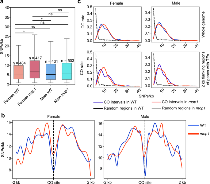 Fig. 3: mop1, particularly in females, tends to introduce new crossover (CO) sites in regions with higher genetic diversity.