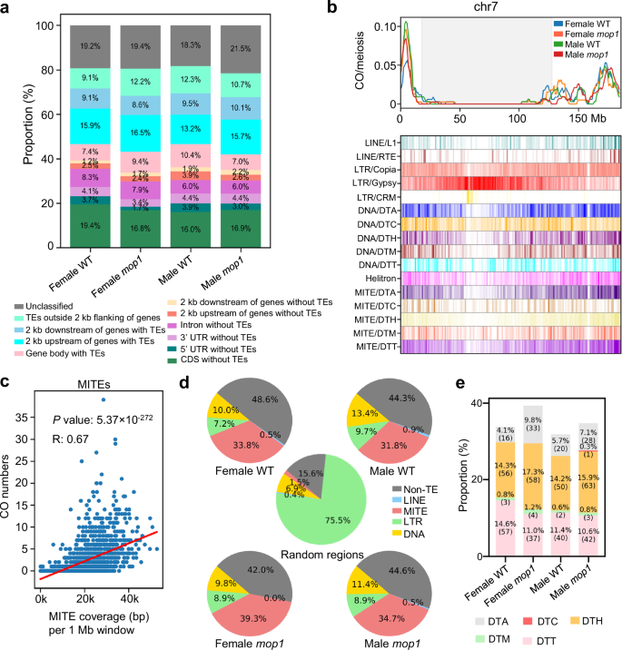 Fig. 4: Crossovers (COs) are associated with MITEs, with greater enrichment observed in mop1 mutants.