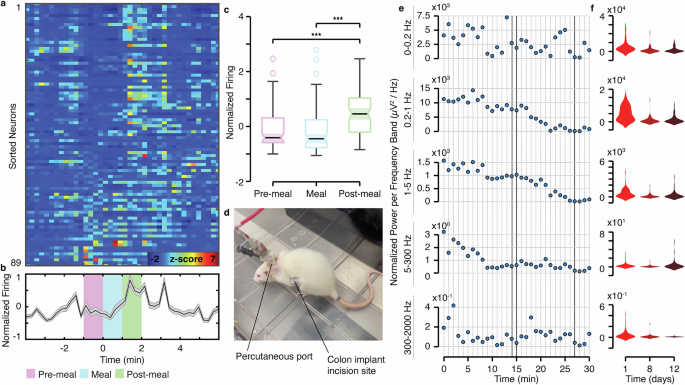 Fig. 6: Colonic activity is modulated by food ingestion and stress.