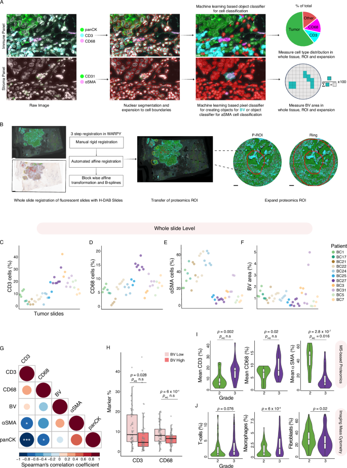 Fig. 4: A multiplexed imaging-based whole slide analysis of TME components.