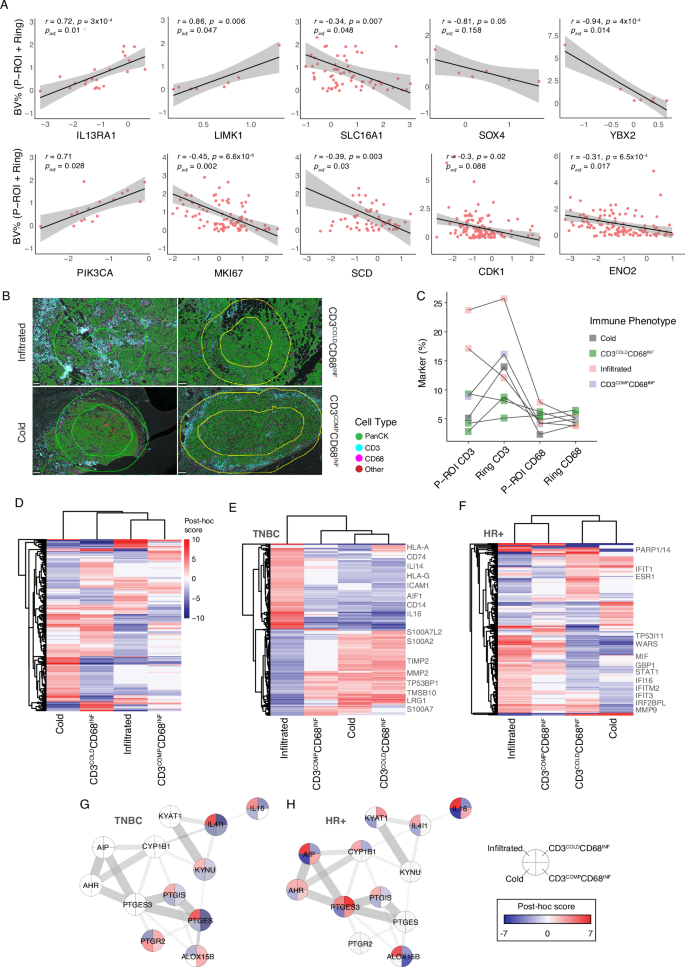 Fig. 5: Integrating spatial proteomics with multiplexed imaging uncovers unique TME interactions.