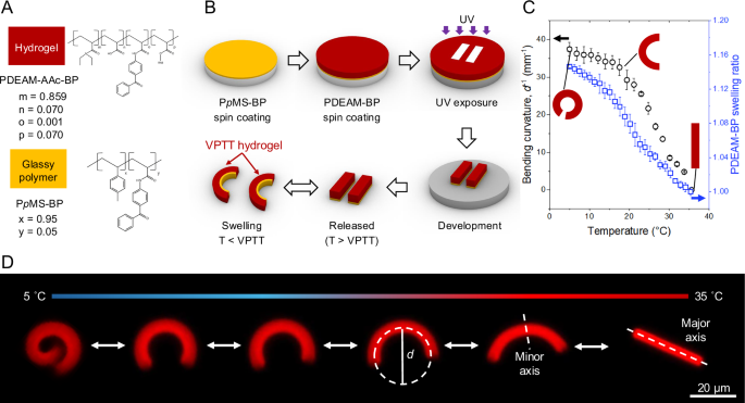 Fig. 1: Fabrication and actuation of shape-morphing particles.